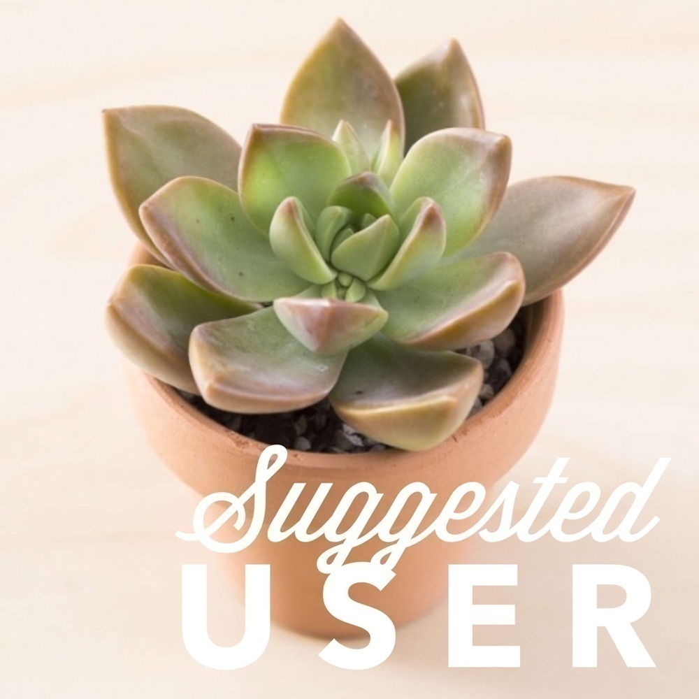 I'm a Suggested User!